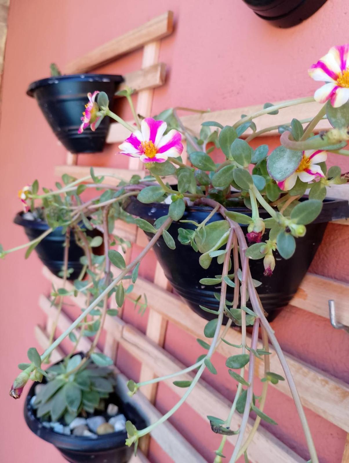 Tiwa 24h Albergue Porto Seguro